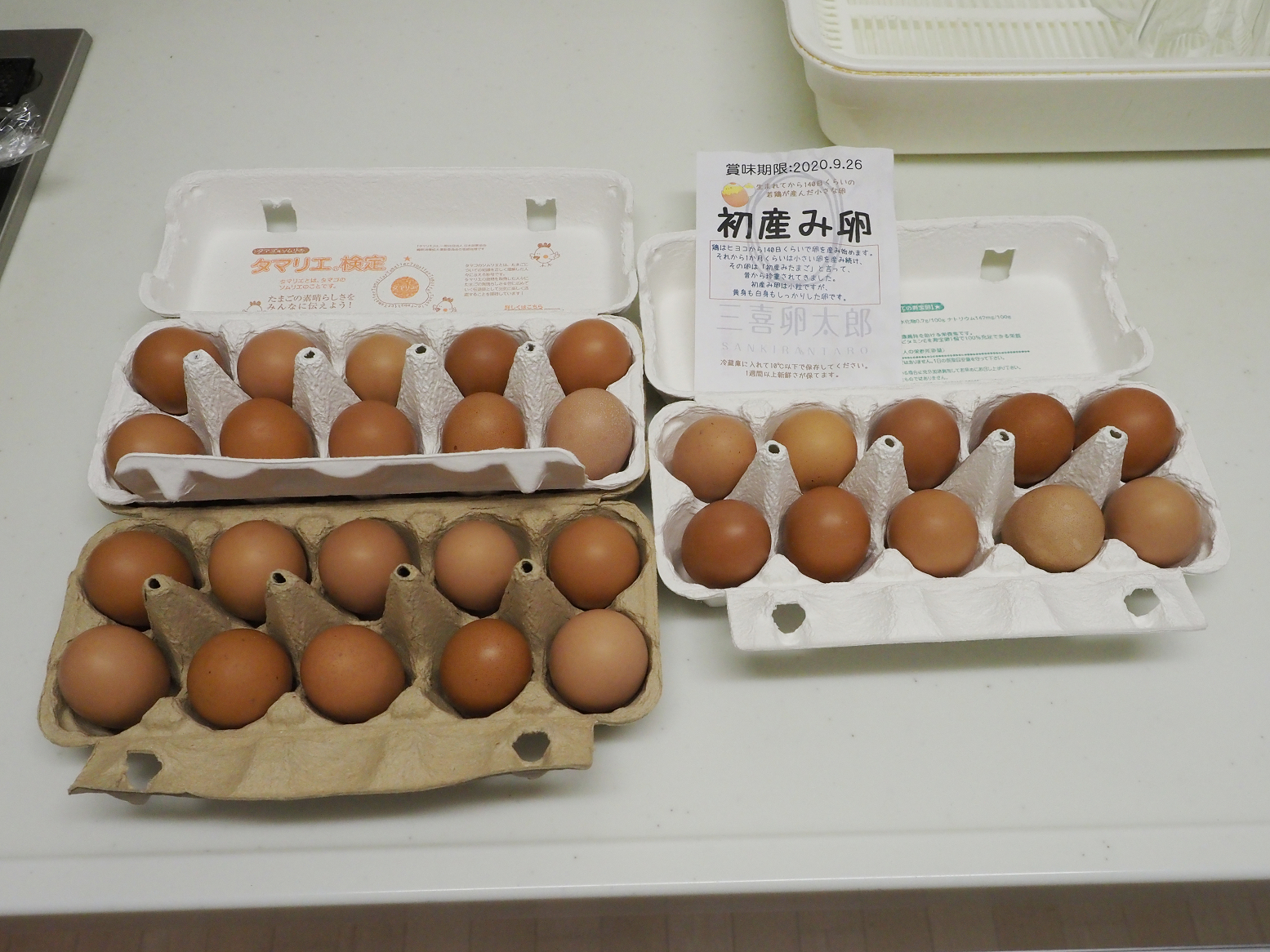 P9141141.jpg