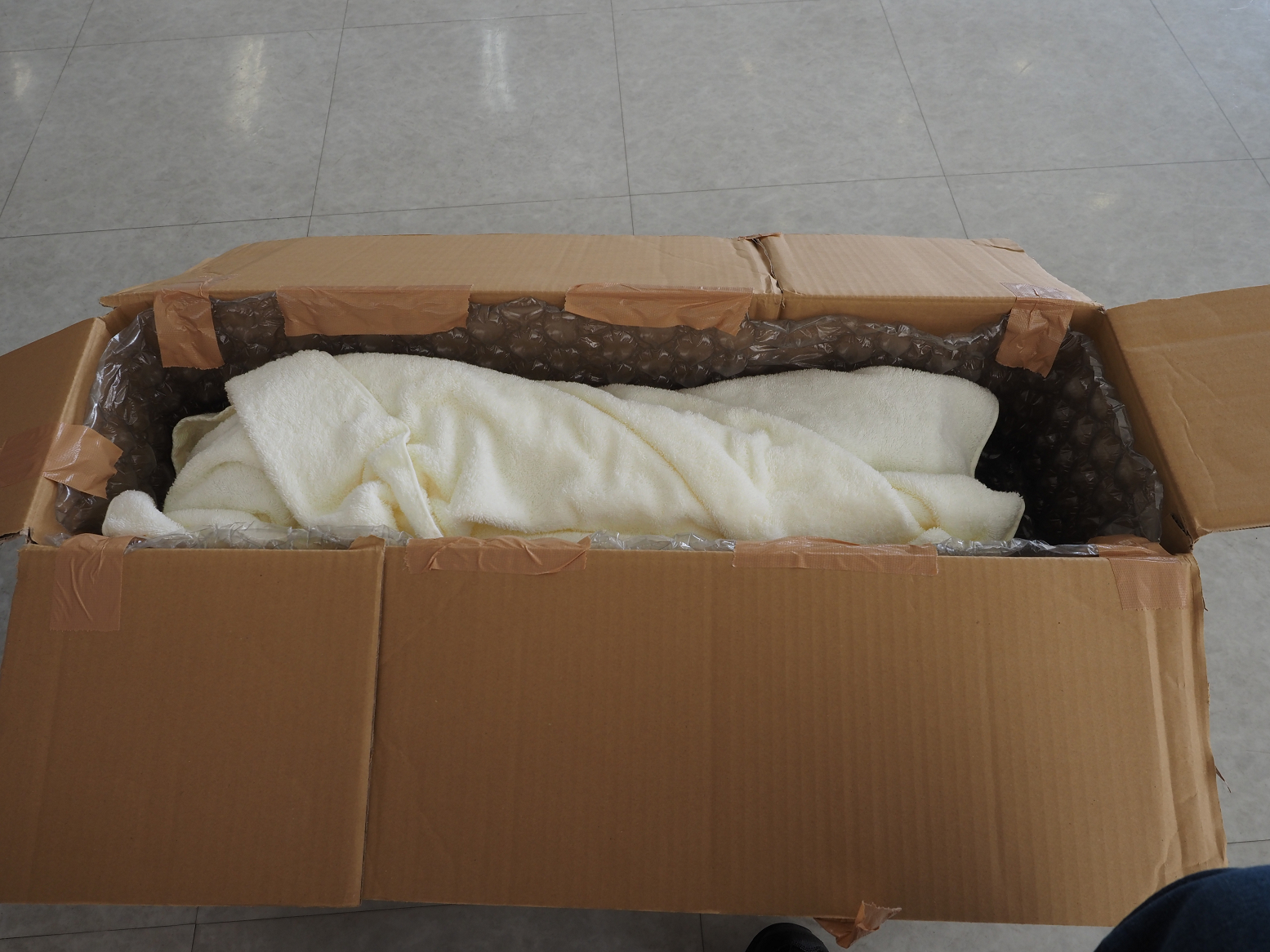 P9151147.jpg