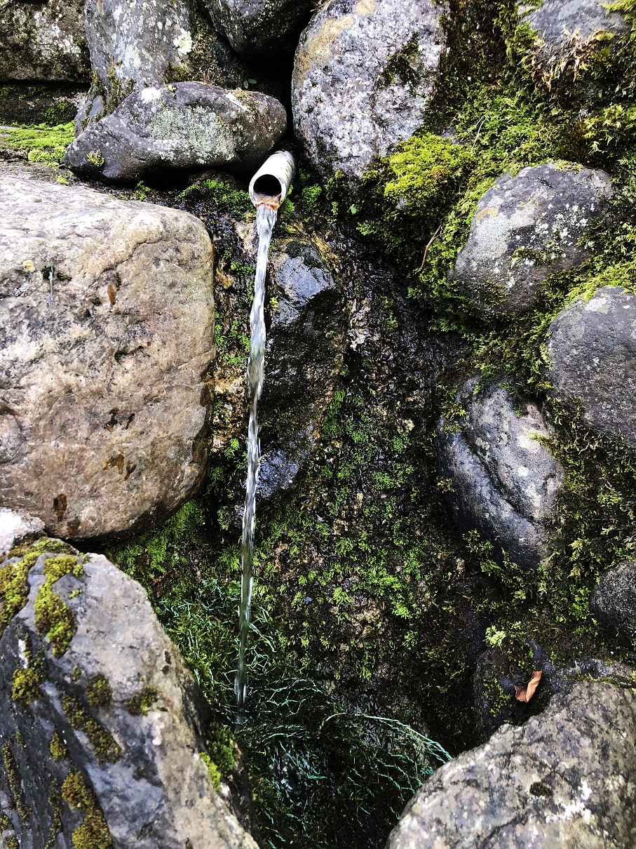P9160014-09.jpg