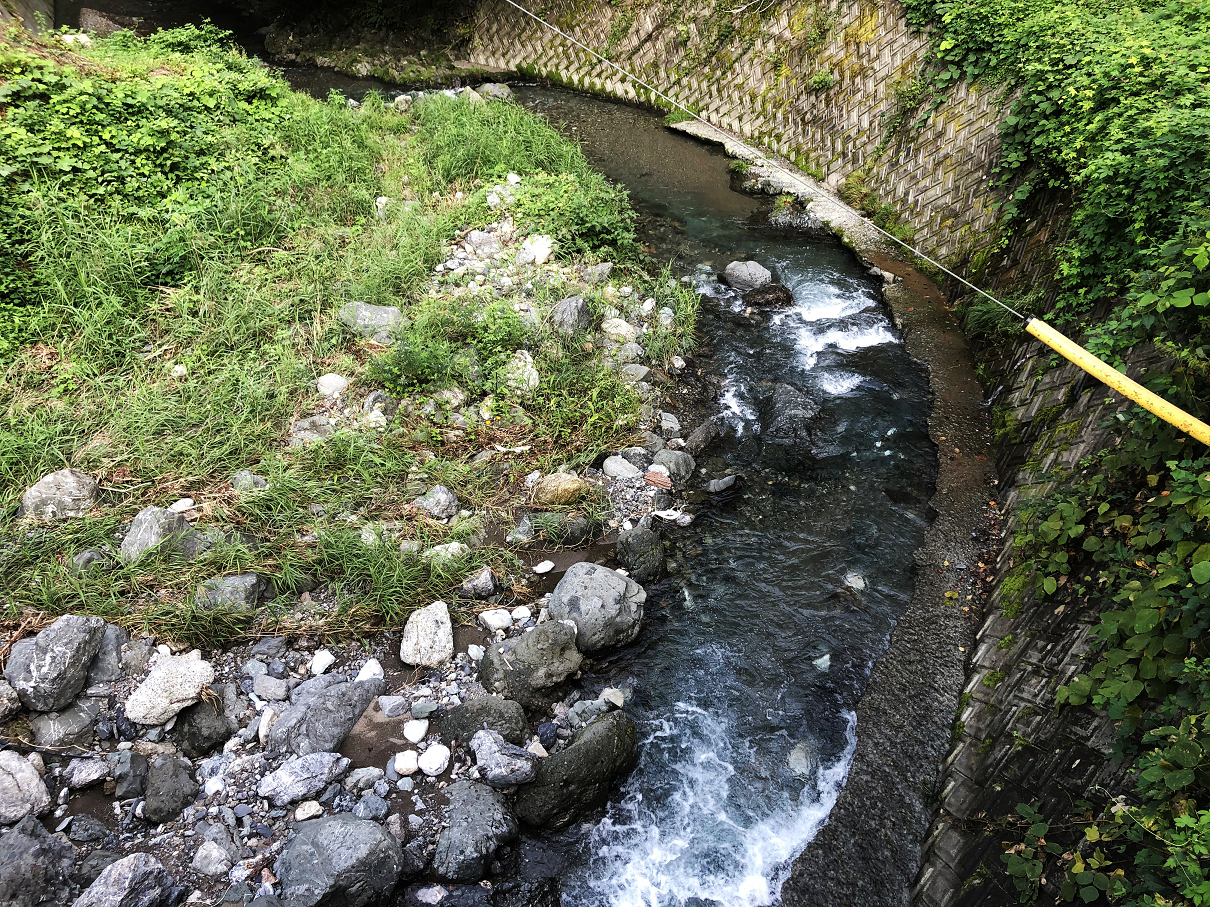 P9160014-11.jpg