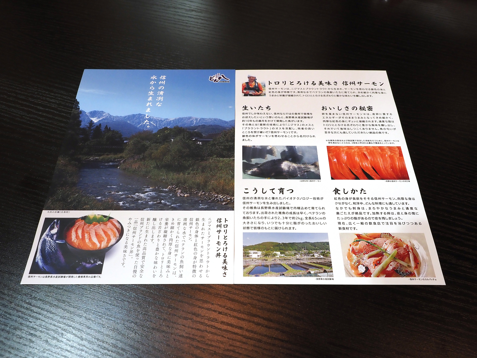 P9191210.jpg