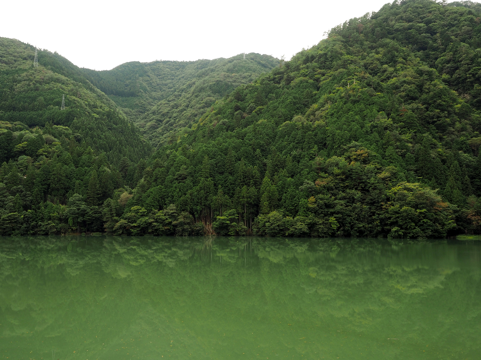 P9201244.jpg