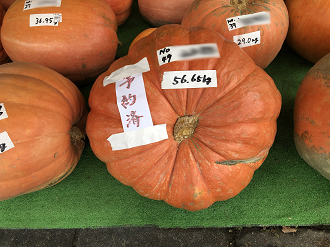 P9260029-02_thumb.png