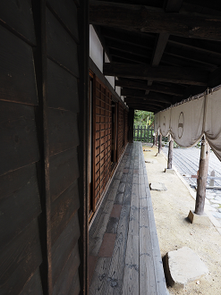 P9270097_thumb.png