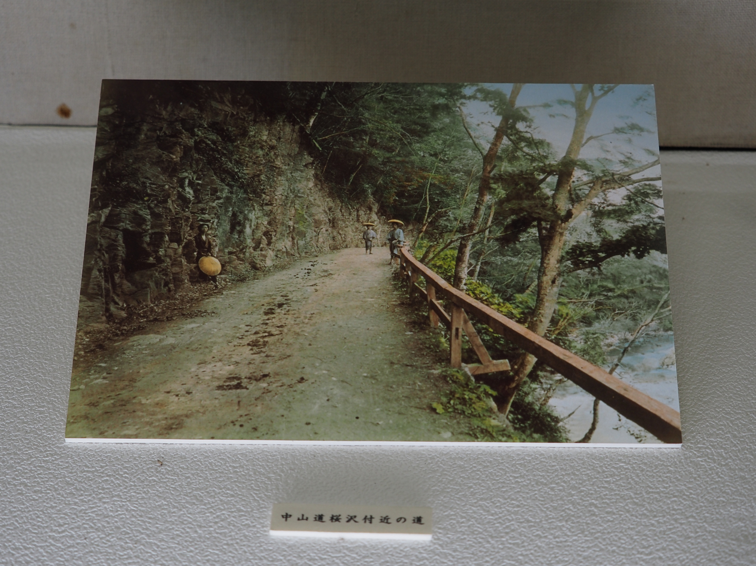 P9270129.jpg