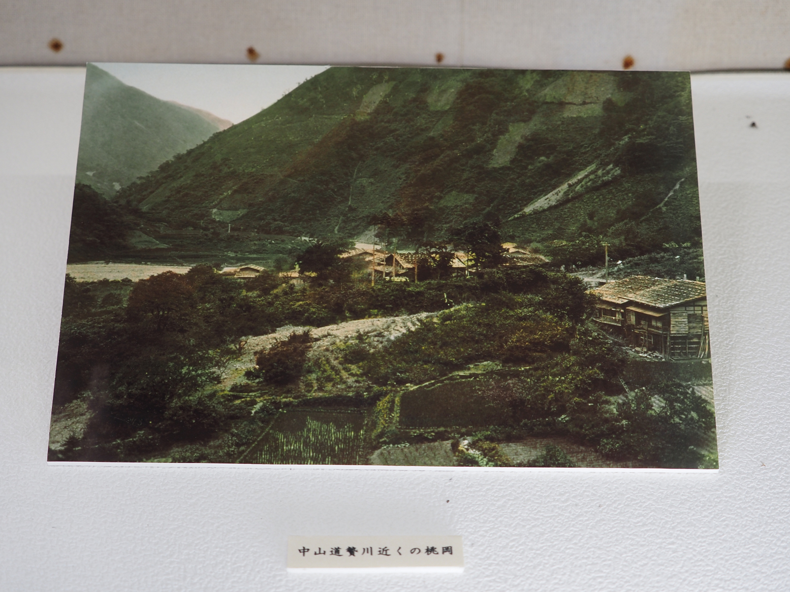 P9270132.jpg