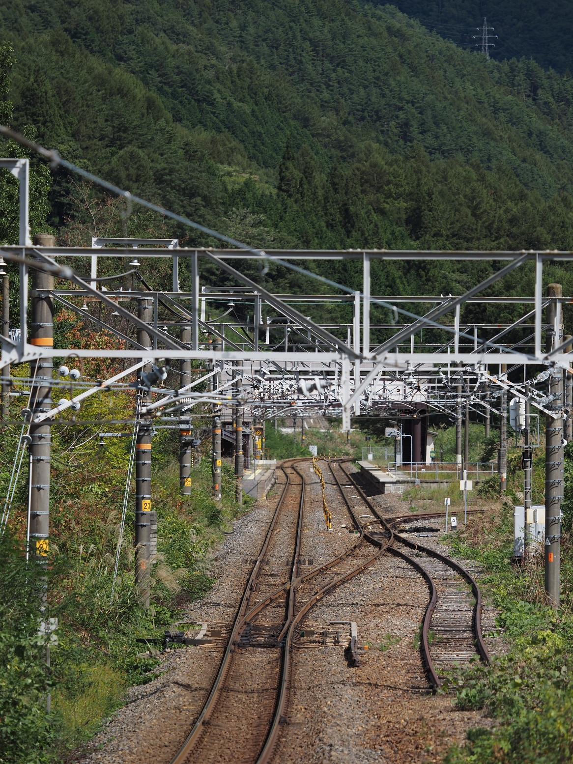 P9270139.jpg
