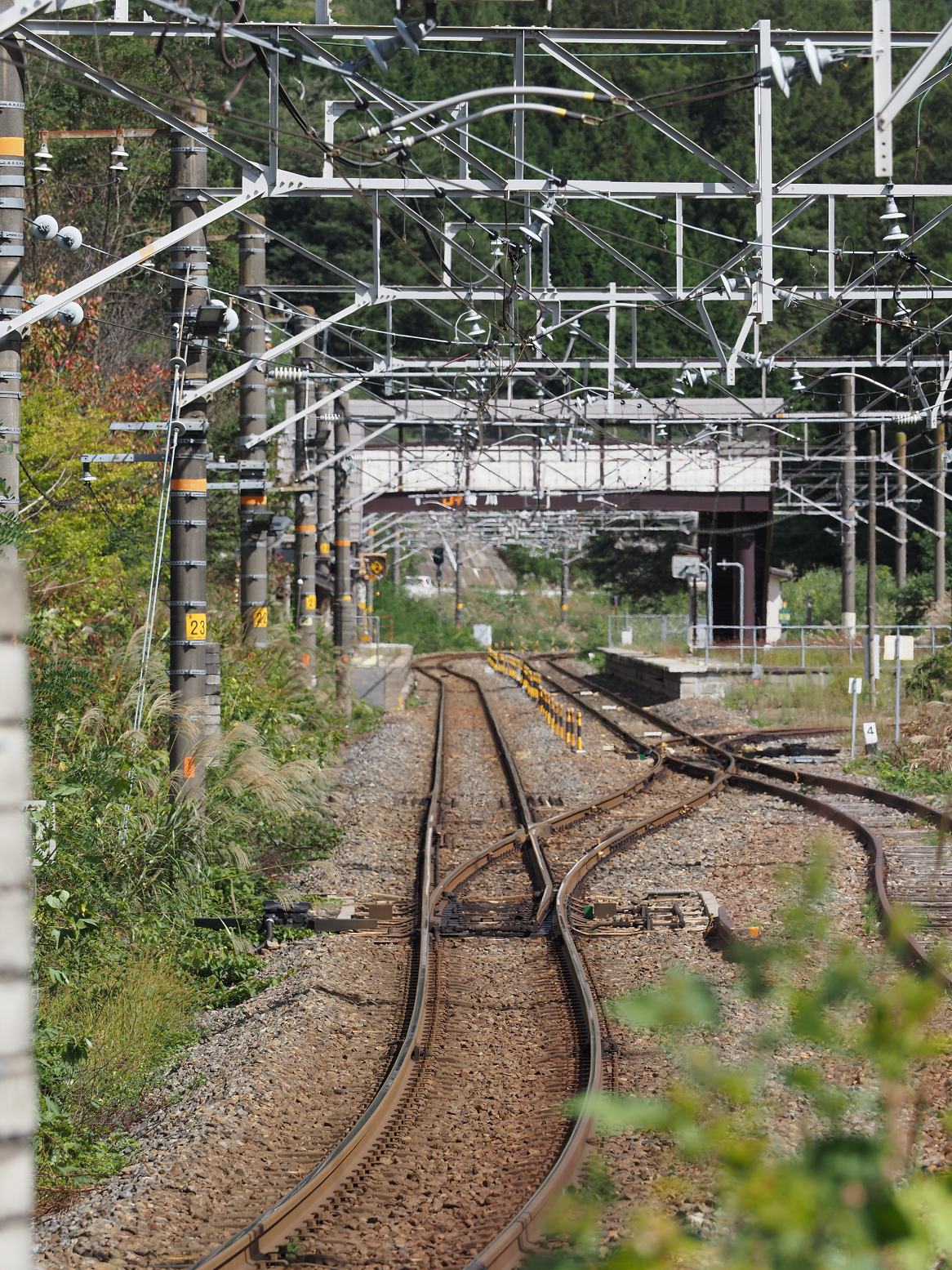 P9270145.jpg