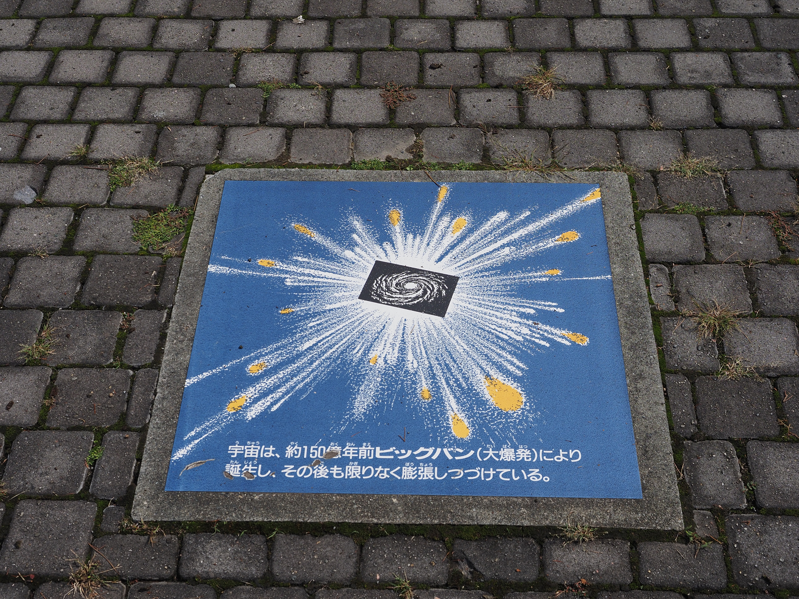 P9270146.jpg