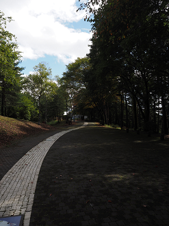 P9270147_thumb.png