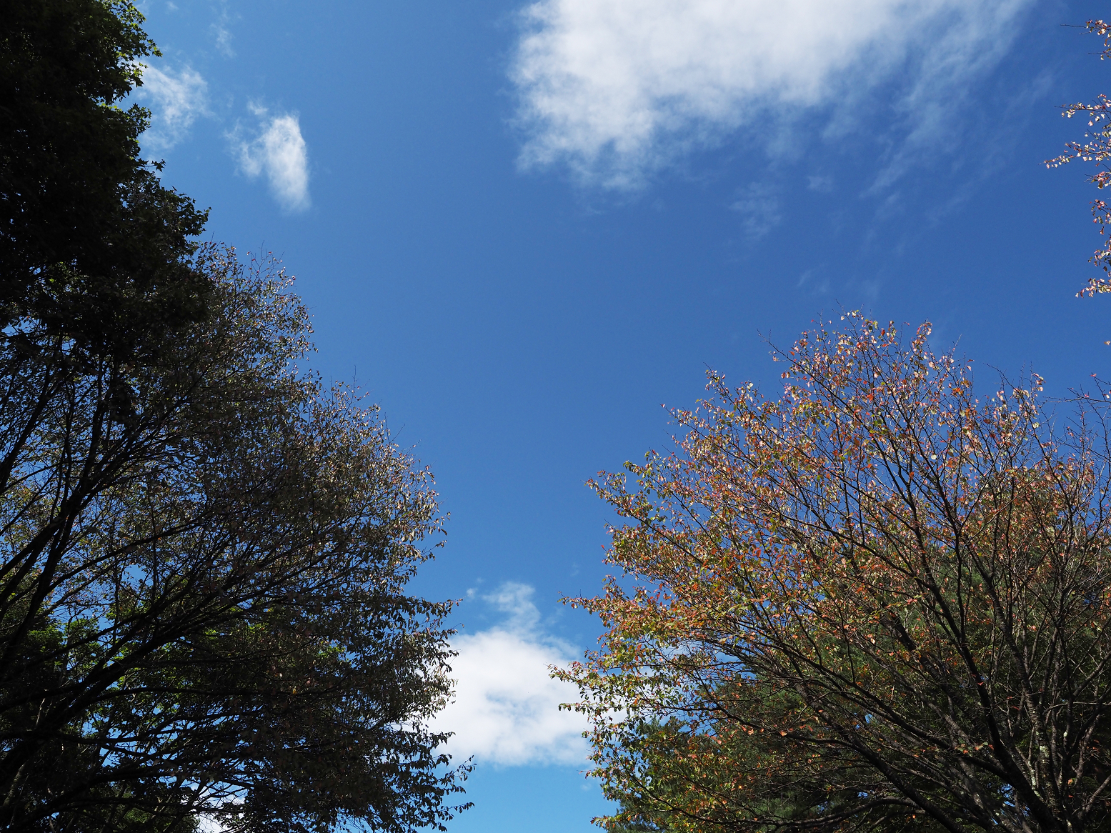 P9270149.jpg
