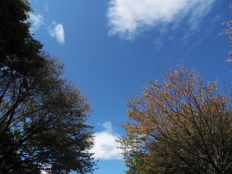 P9270149_thumb.png