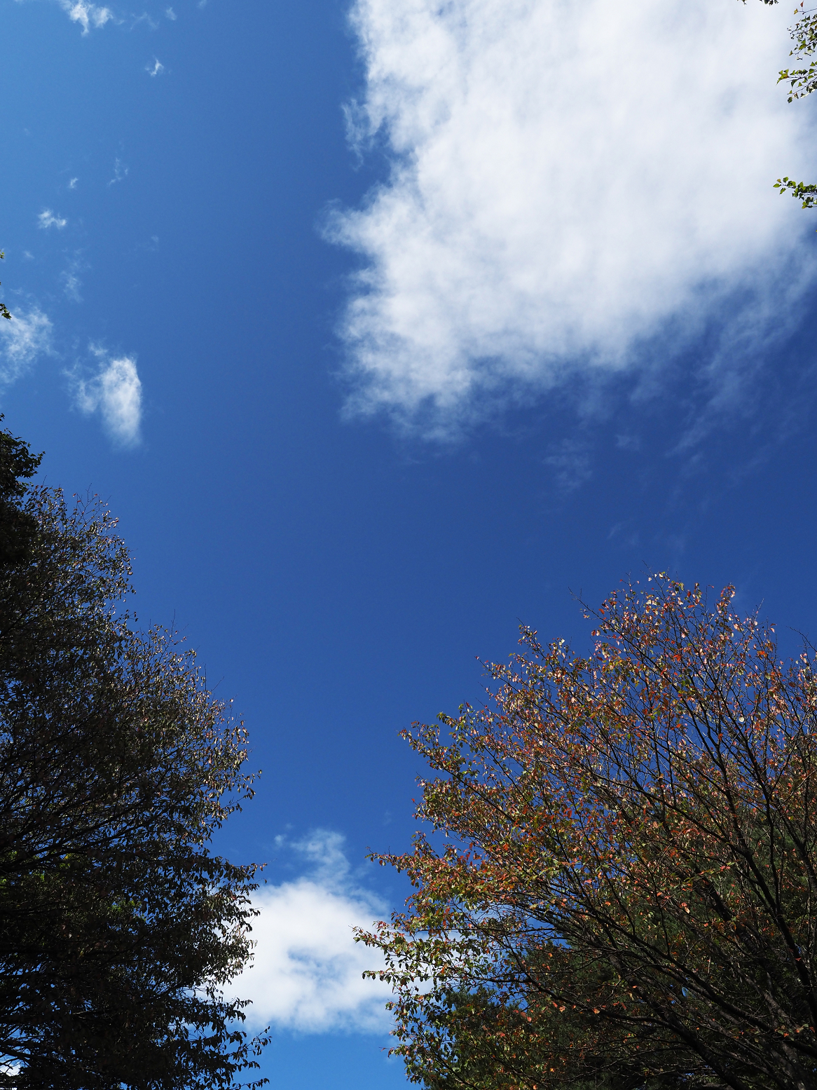 P9270150.jpg