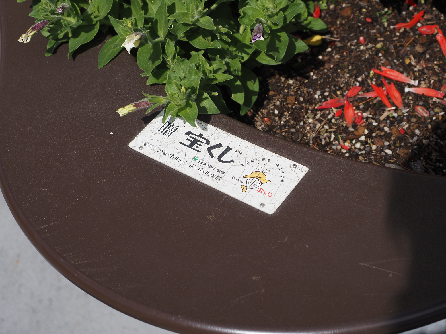 P9270156.jpg