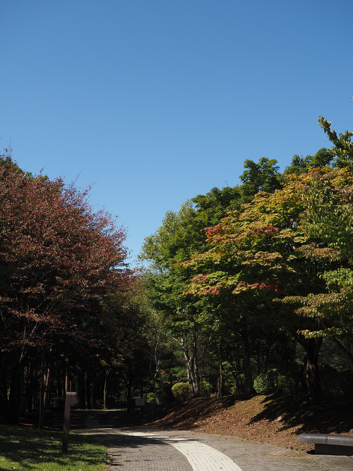 P9270242.jpg