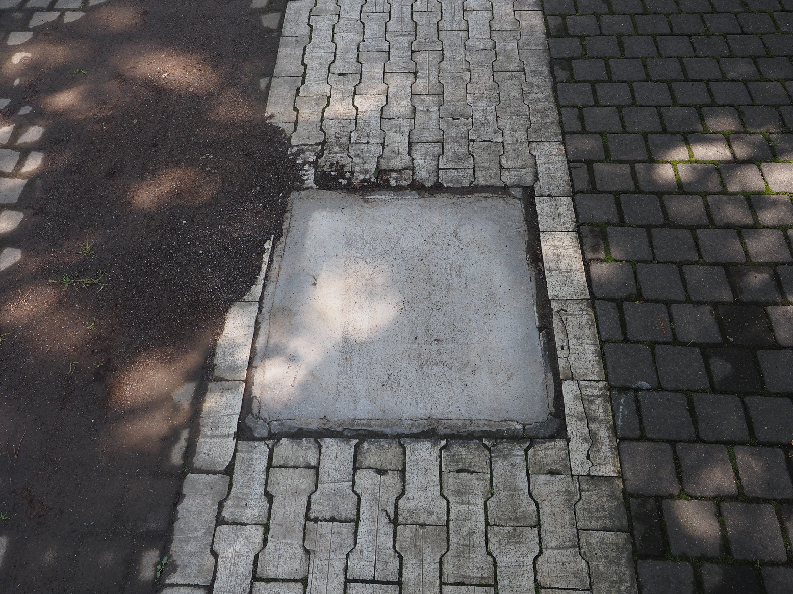 P9270245.jpg