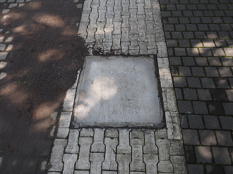 P9270245_thumb.png