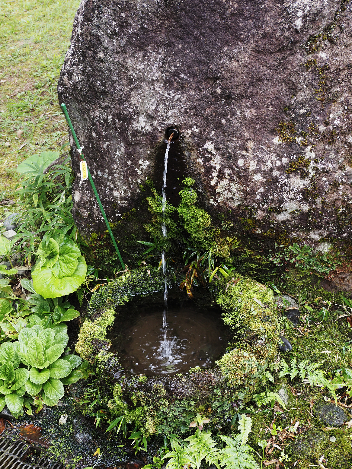 PA040435.jpg