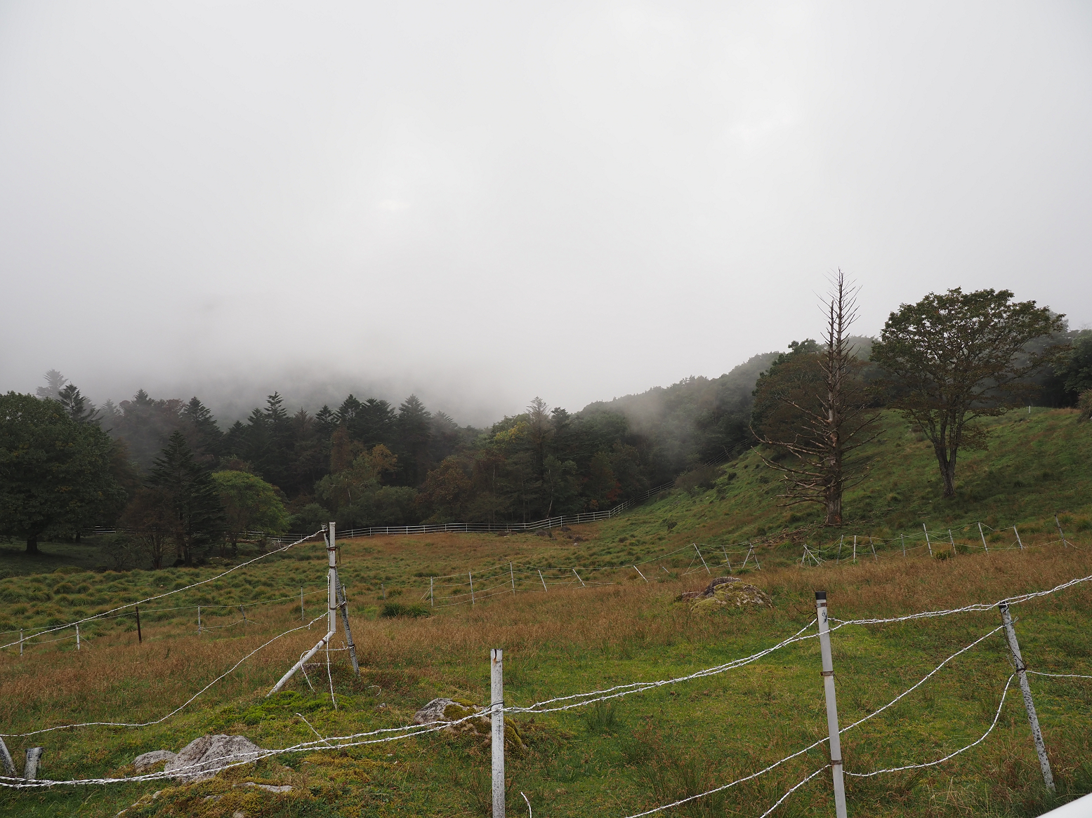 PA040455.jpg