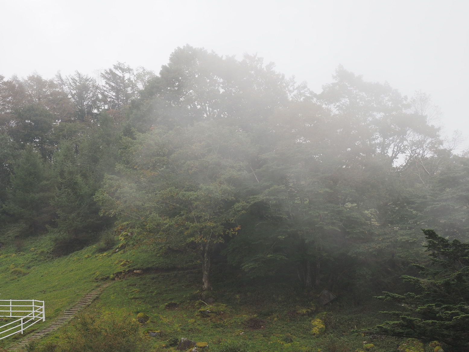 PA040460.jpg