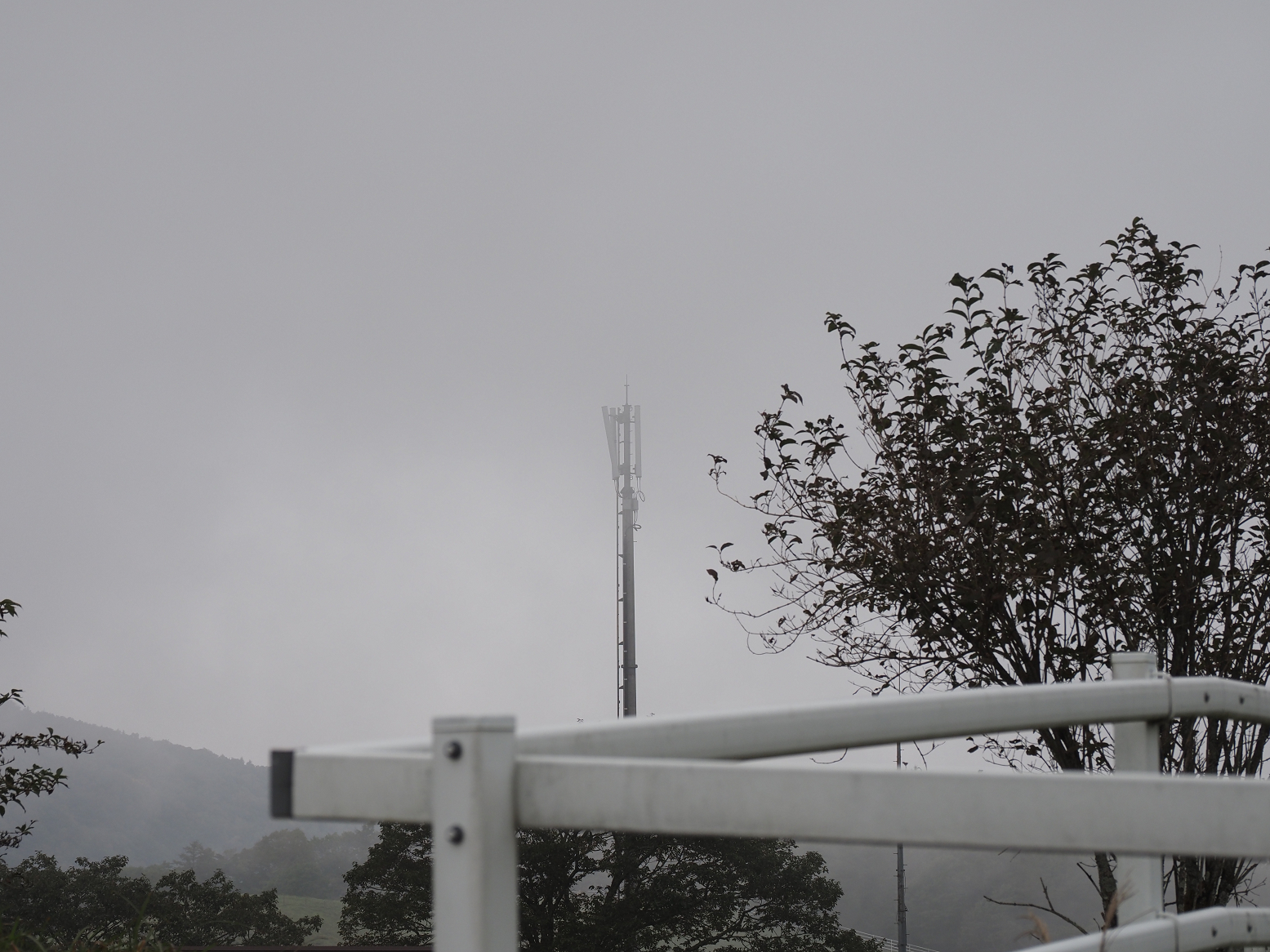 PA040463.jpg