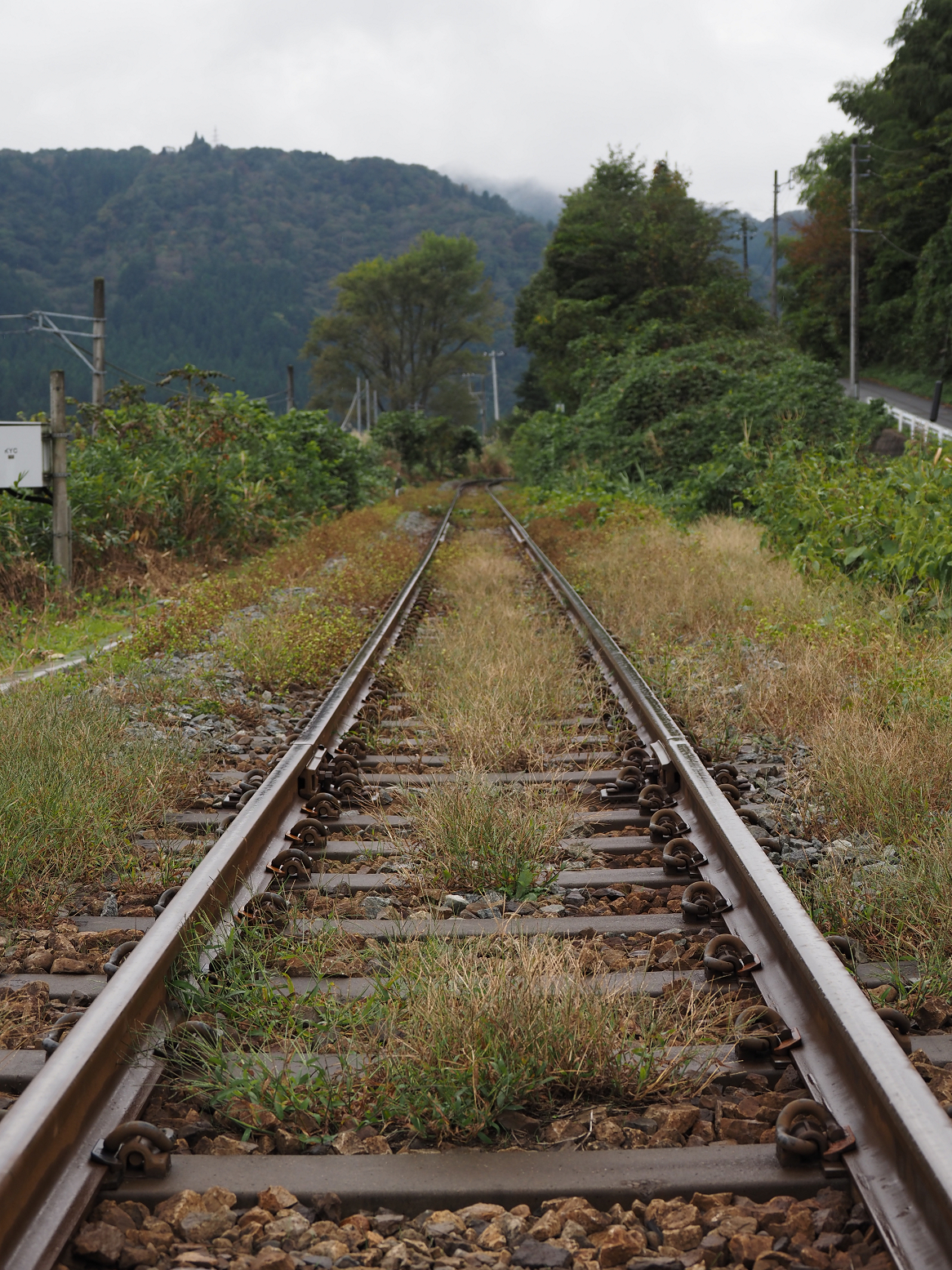 PA170004.jpg