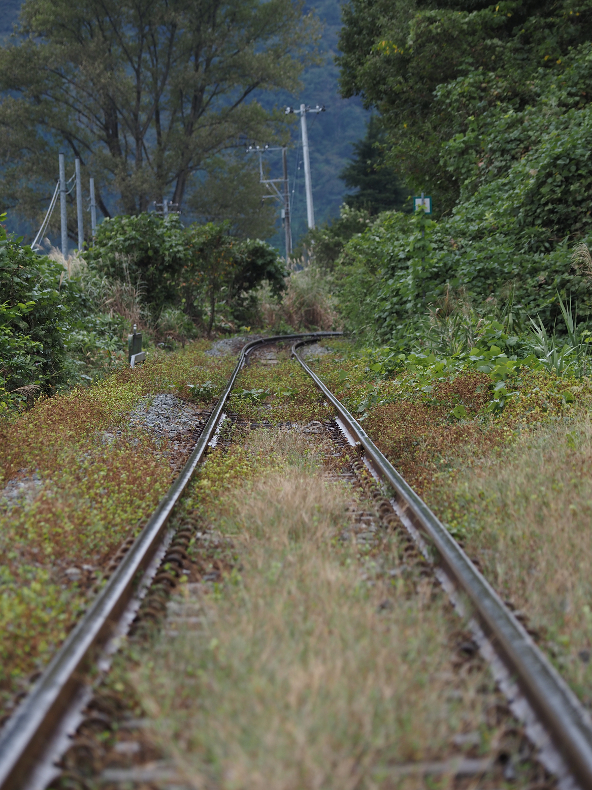 PA170006.jpg