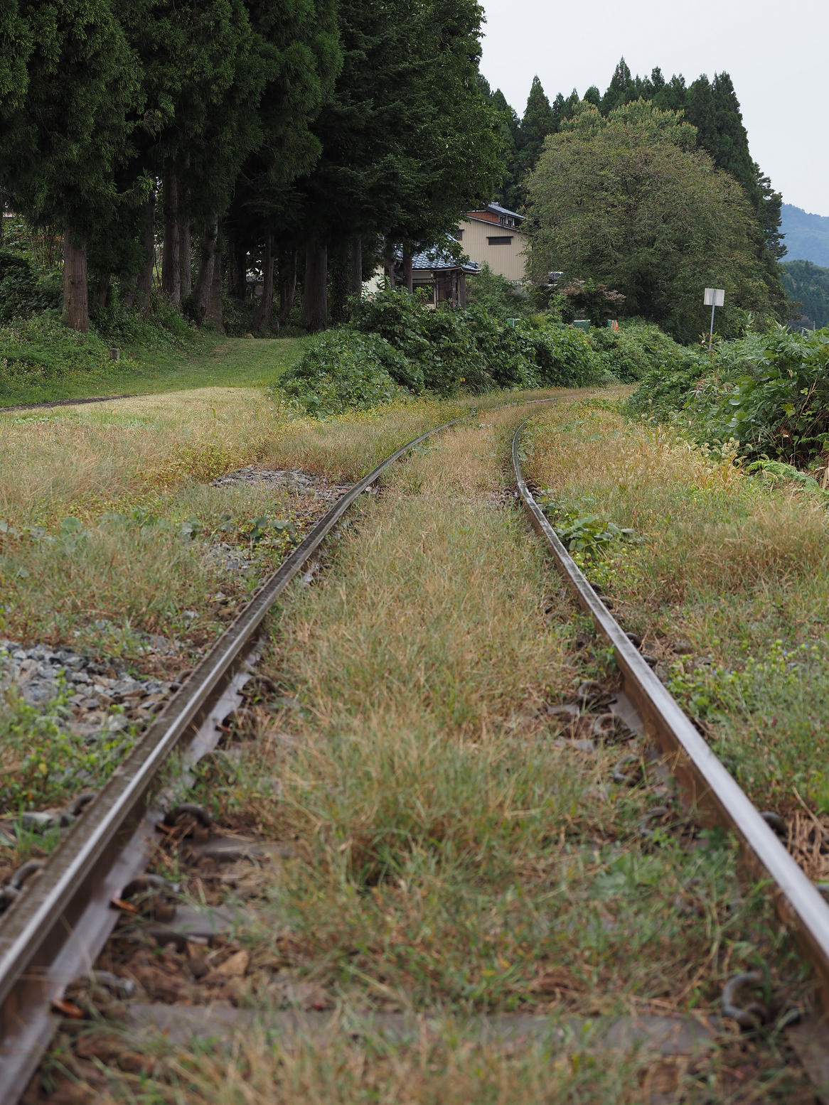 PA170008.jpg
