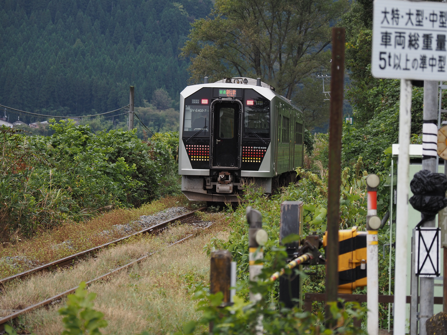 PA170144.jpg