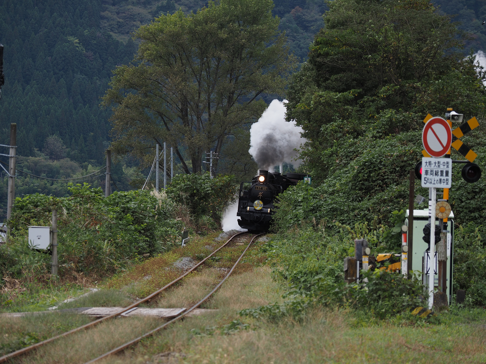 PA170152.jpg