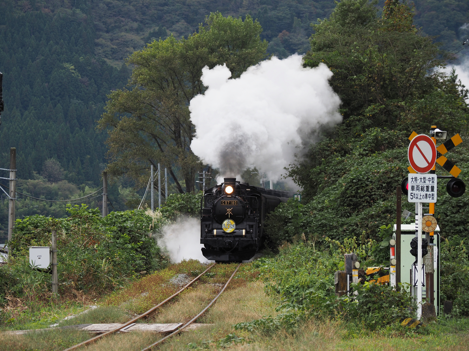 PA170166.jpg