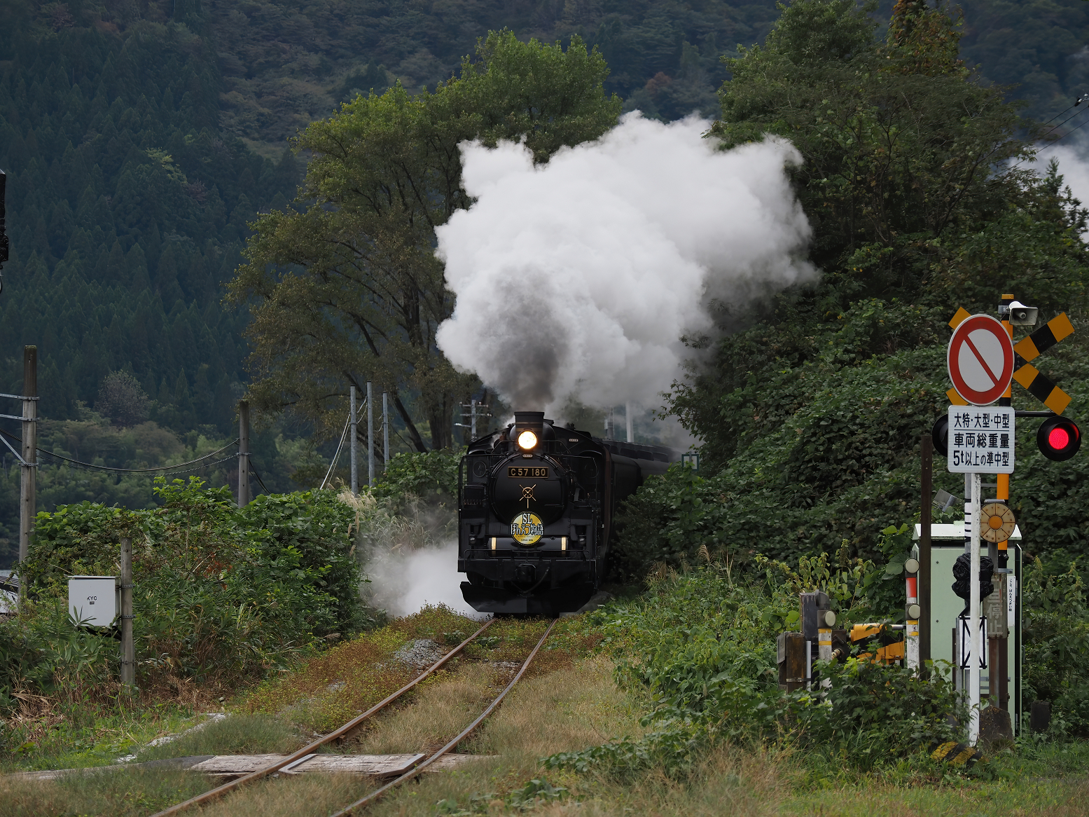 PA170172.jpg