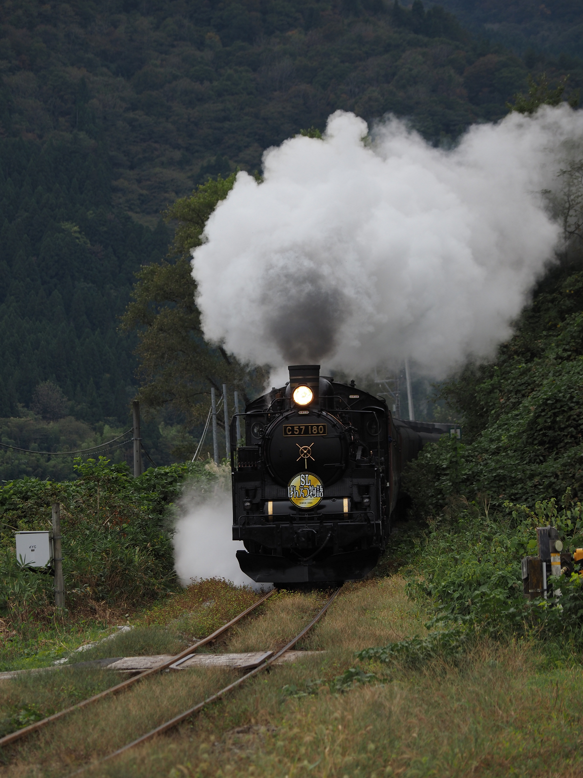 PA170179.jpg