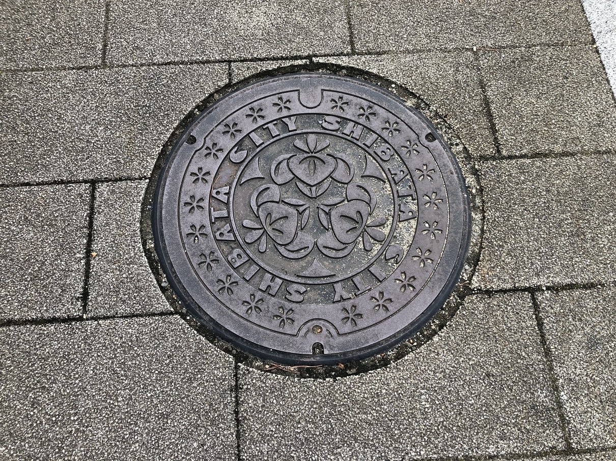 PA170223-04.jpg