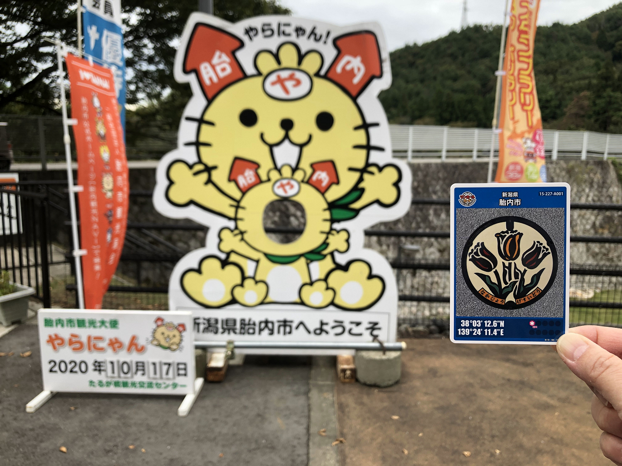 PA170223-16.jpg