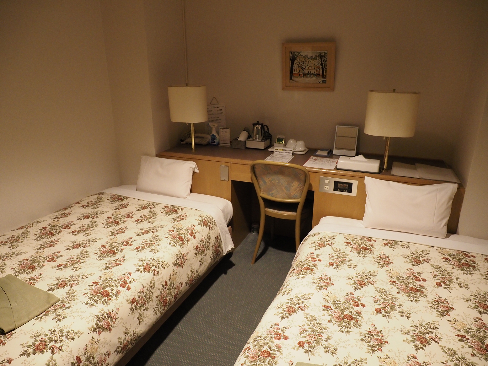 PA170265.jpg