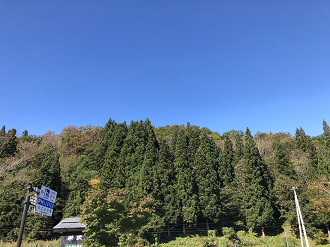 PA170295-20_thumb.png