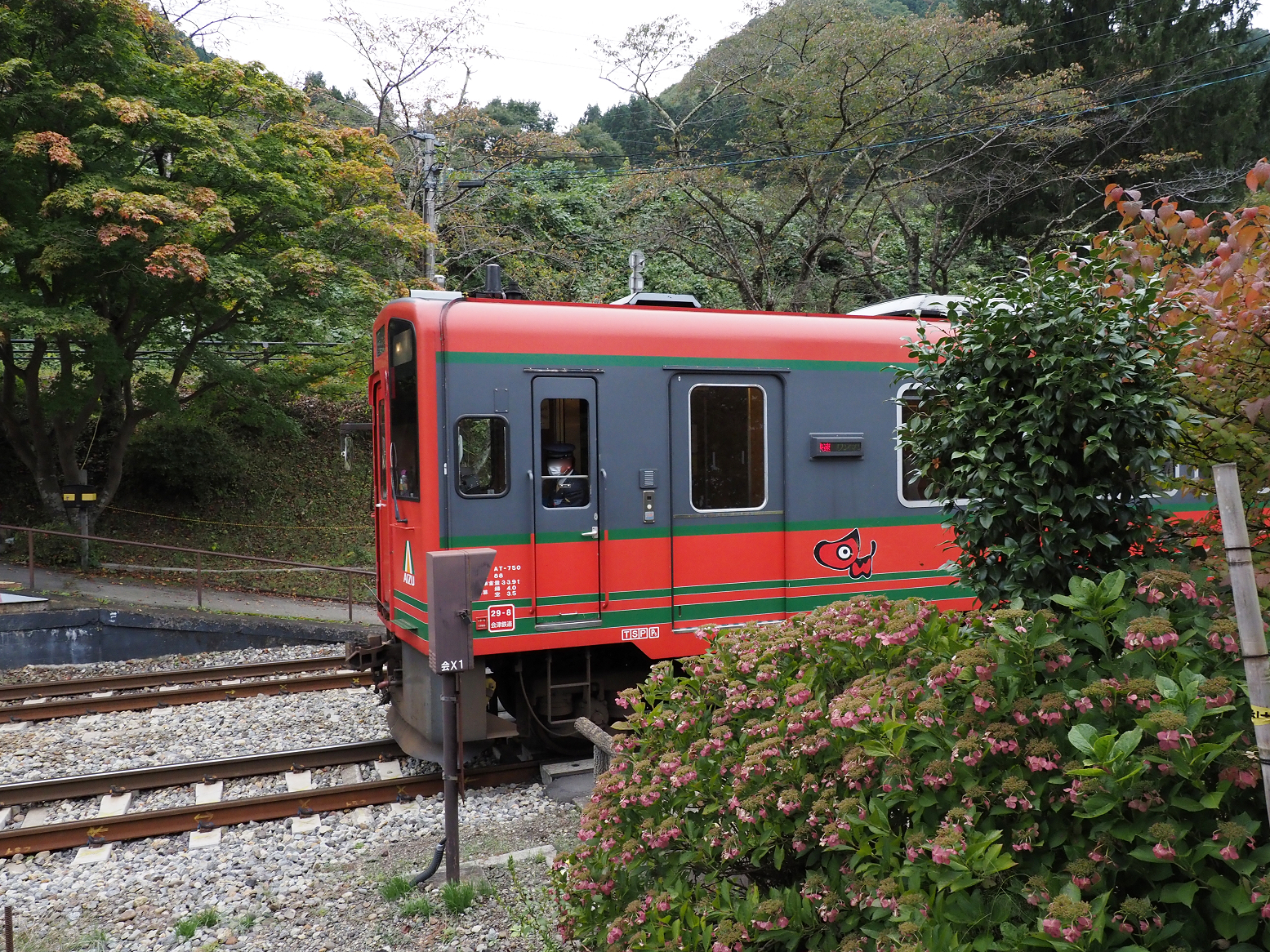 PA190332.jpg