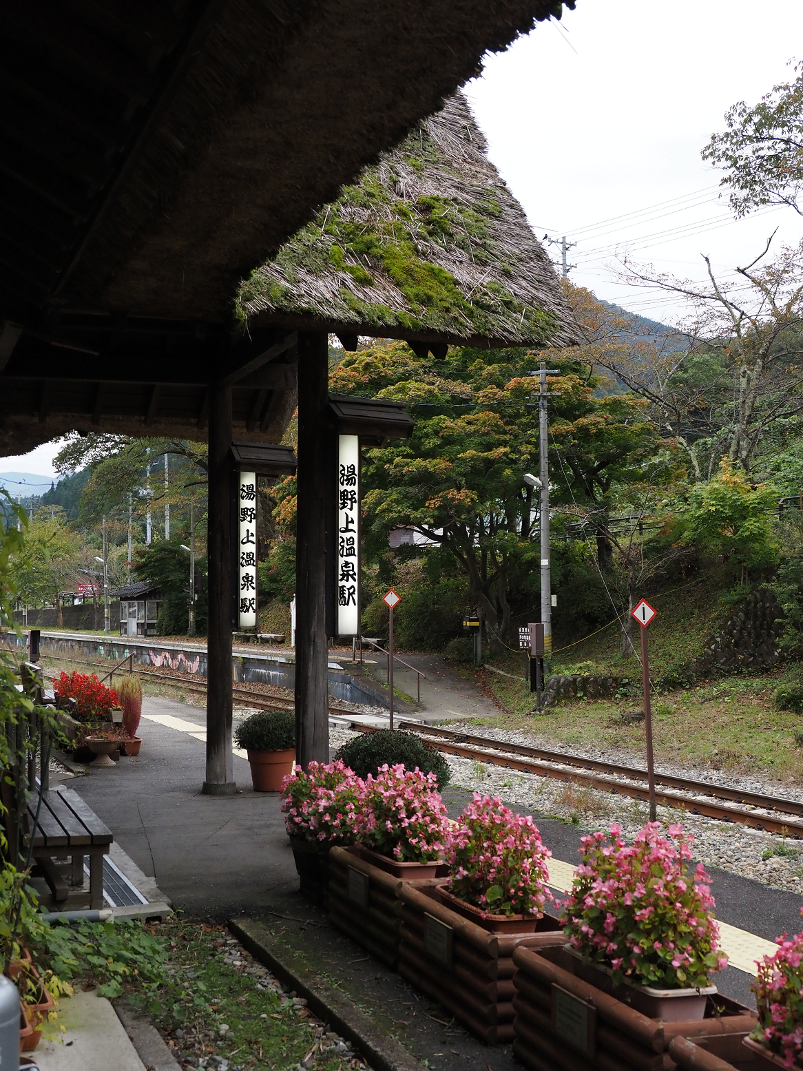 PA190354.jpg