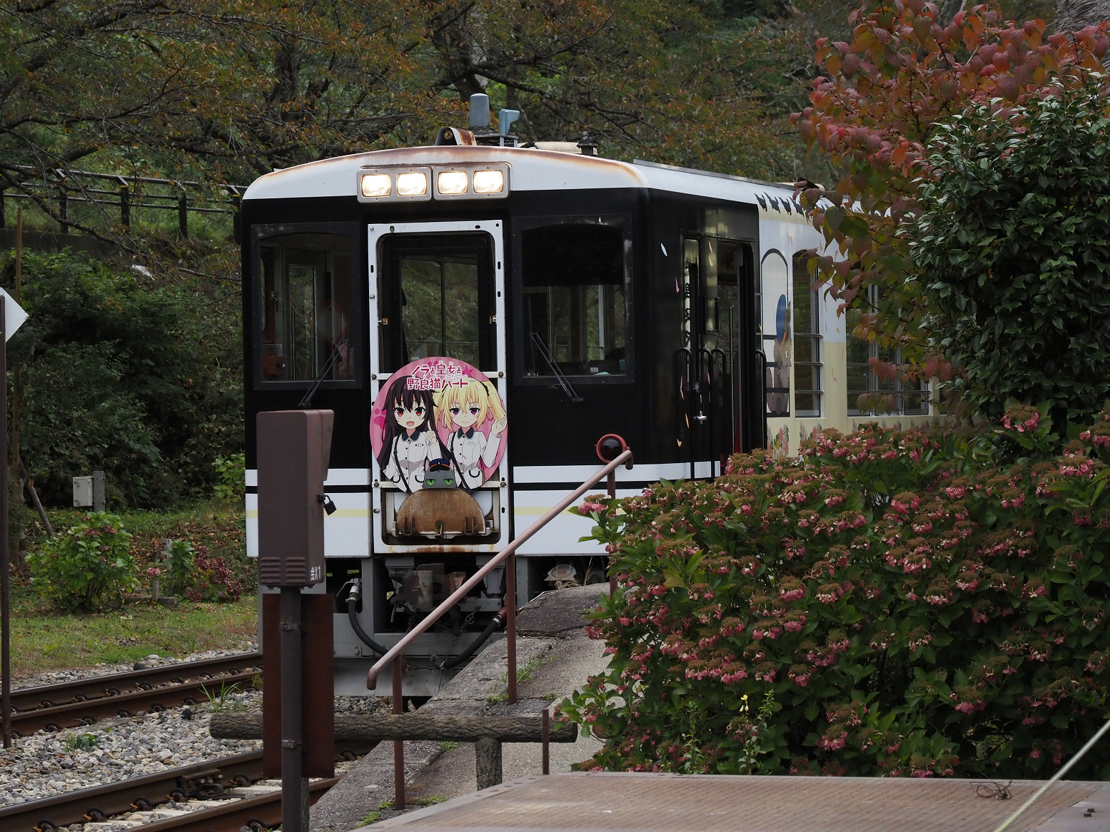 PA190472.jpg