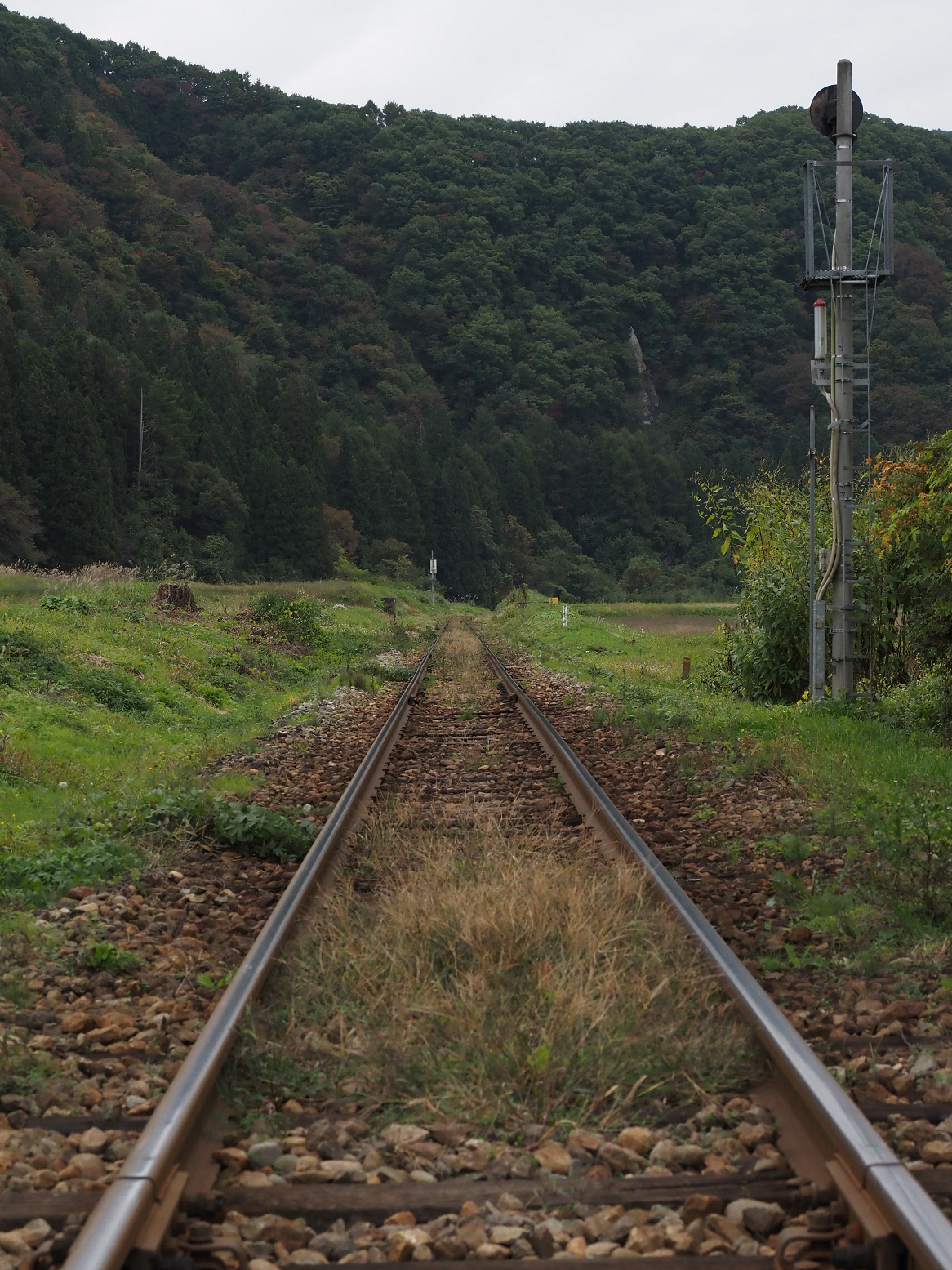 PA190554.jpg