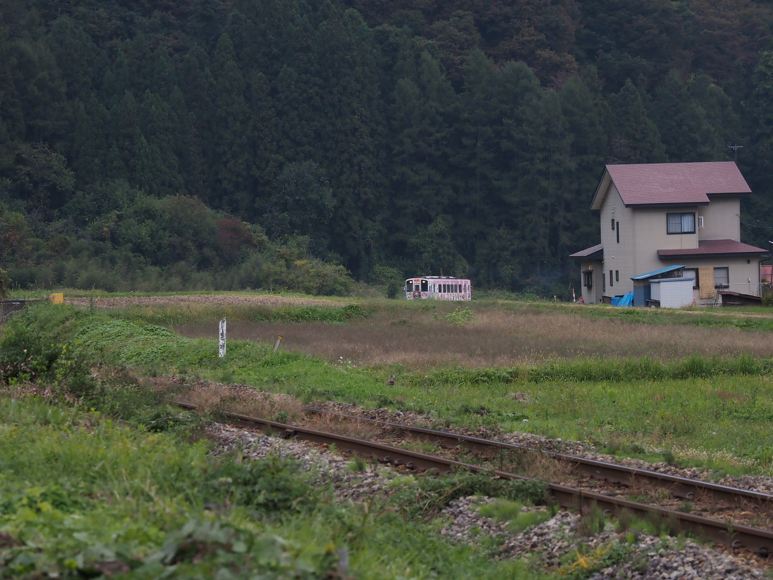 PA190557.jpg