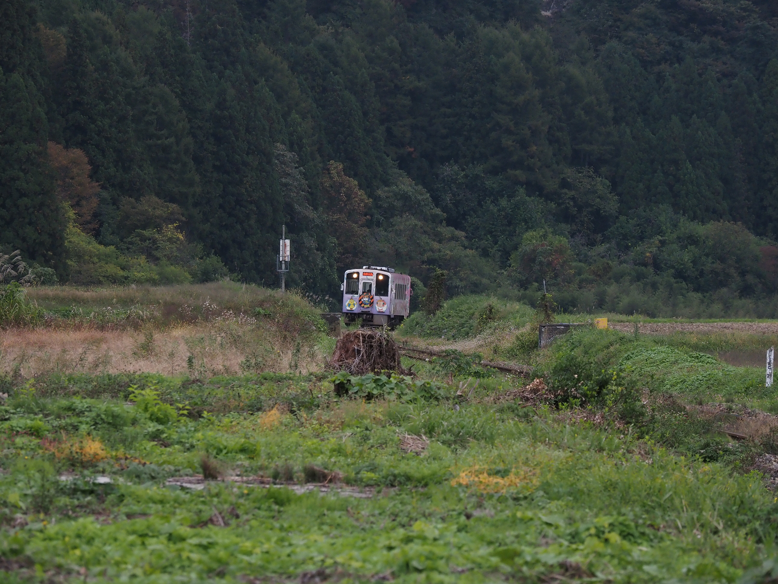 PA190563.jpg