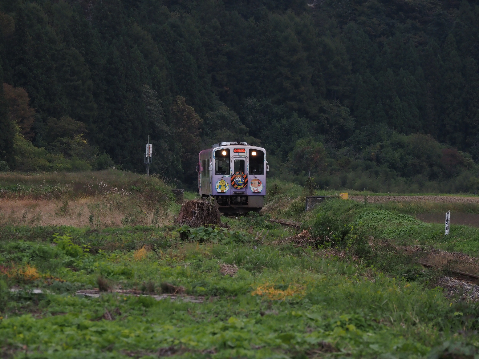 PA190584.jpg