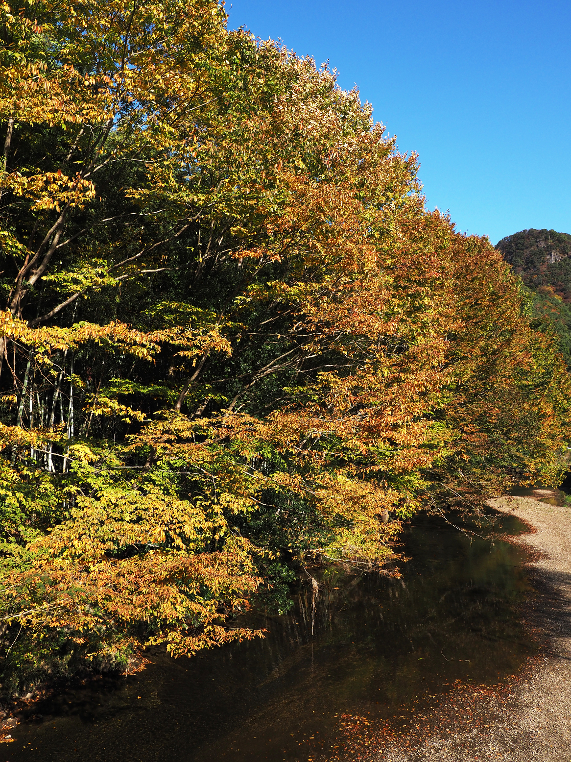 PA310007.jpg