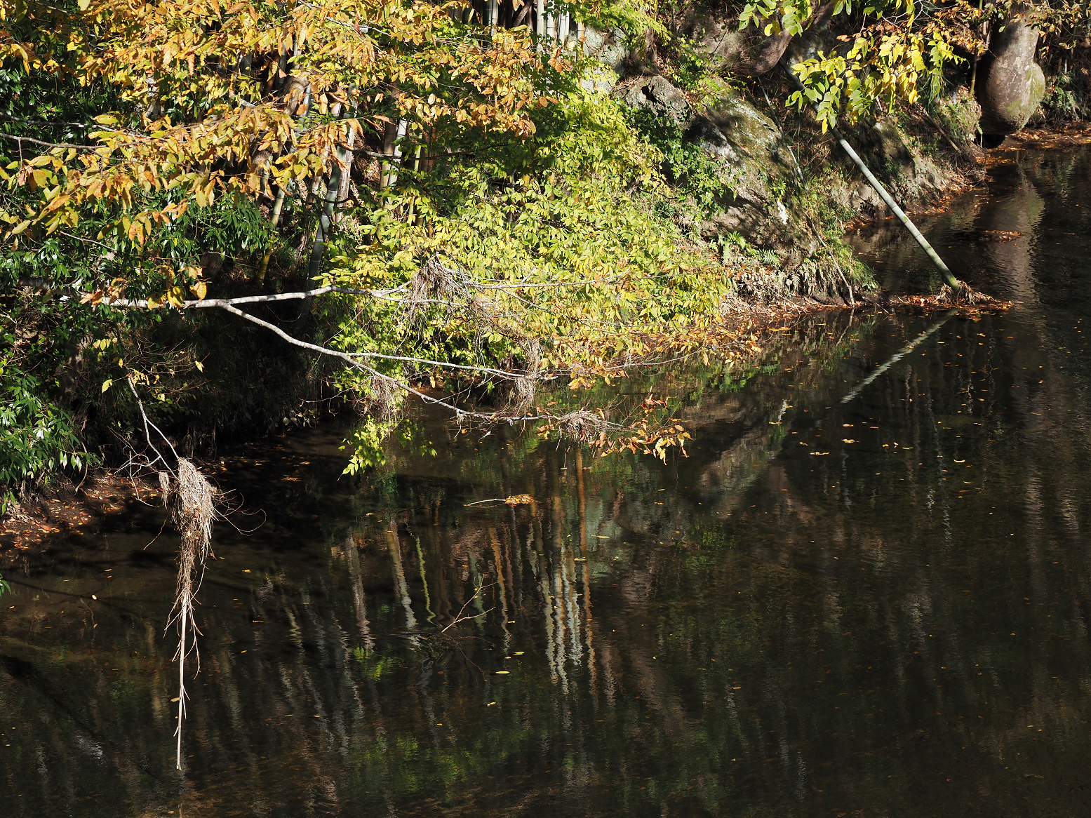 PA310008.jpg