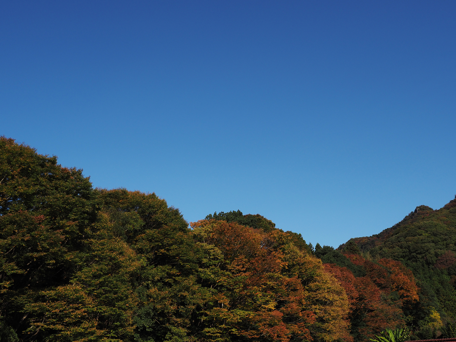 PA310009.jpg