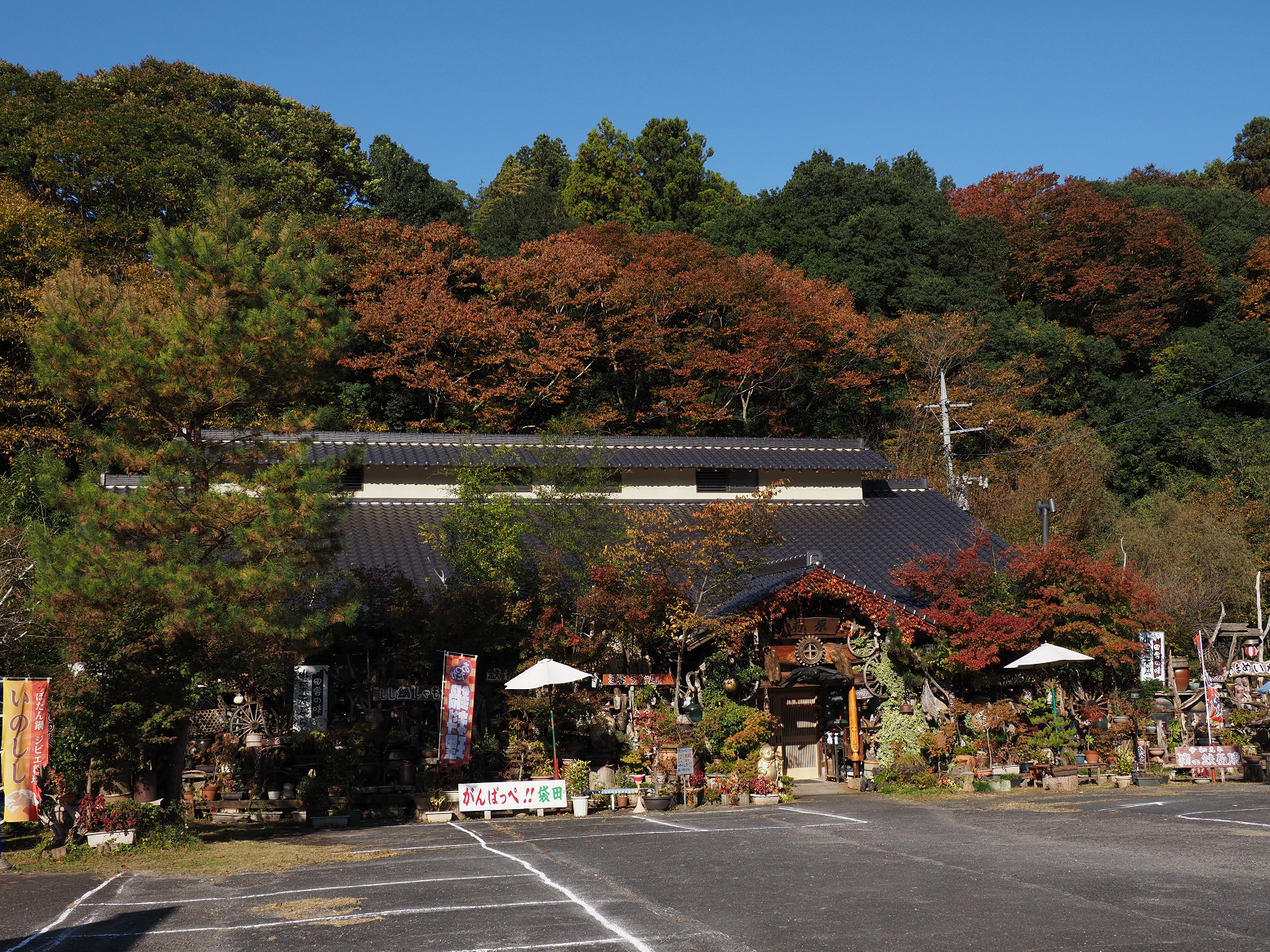 PA310011.jpg