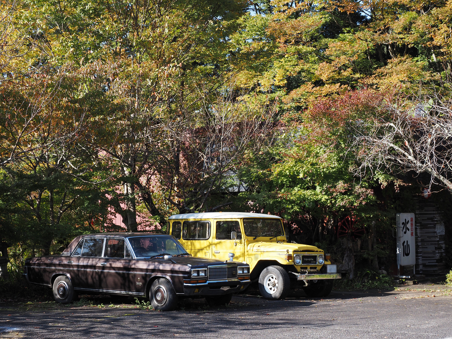 PA310013.jpg