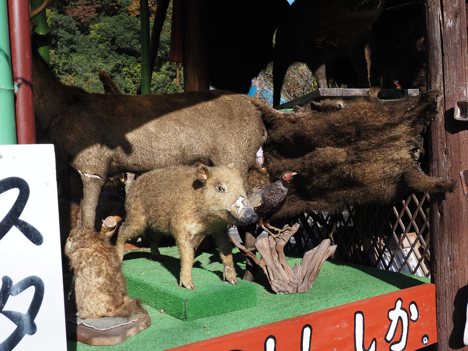 PA310014.jpg